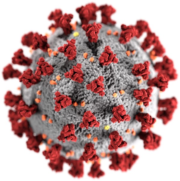 London Coronavirus - SARS-CoV-2